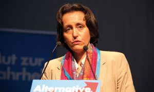 AfD: “İslam Anayasaya Aykırı”