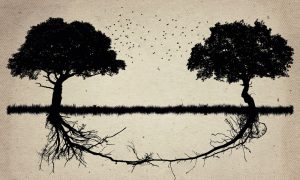 “Biz Müslümanlar” Diyebilmek