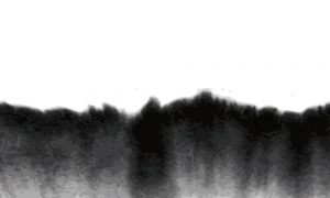 Nefretin Belirleyiciliğini Nasıl Aşarız?