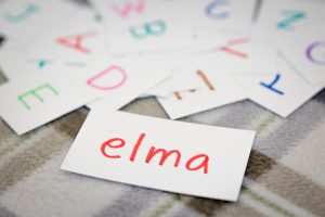 “Almanya’da Türkçenin İhmali Sorun Doğurur”