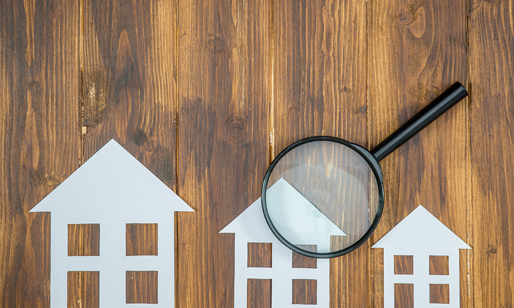 Hollanda'da ırkçı yanıt