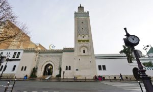 Sarı Yeleklilerin Gösterileri “Fransa İslamı” Projesini Erteletti