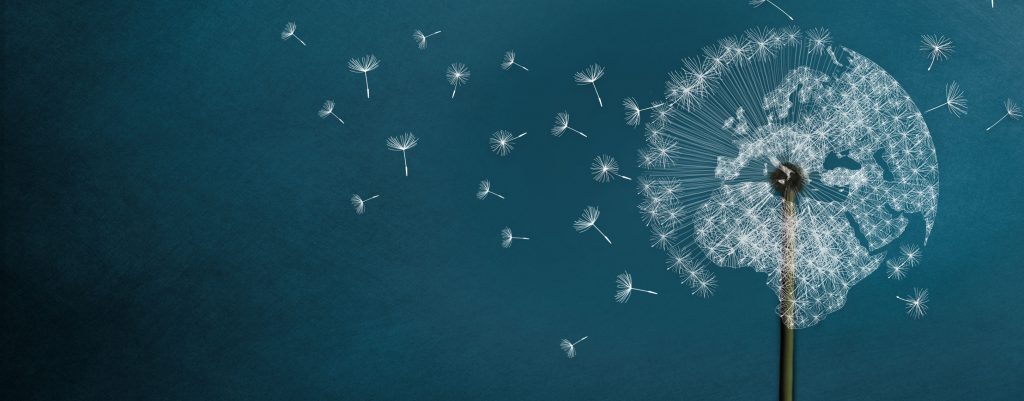 Diaspora Politikaları