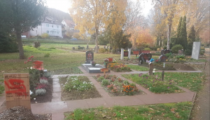 Müslüman Mezarlıklarına Nazi İşaretleriyle Saldırıldı