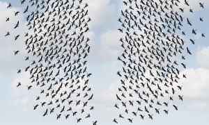 Etnik Çoğulculuktan Yerliciliğe: Radikal Sağı Anlamak