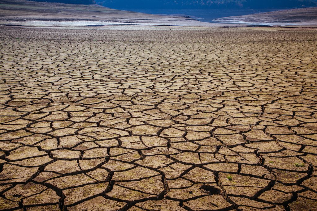 İklim Değişikliği “Gelecek 10 Yılın En Büyük Küresel Riski” Olacak
