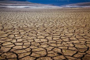 İklim Değişikliği “Gelecek 10 Yılın En Büyük Küresel Riski” Olacak