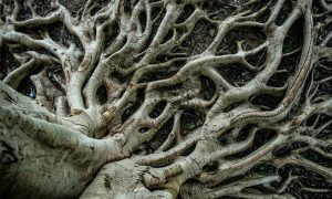 “Pozitif Radikallik” Mümkün Mü?