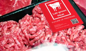 Hollanda’da Hedef Yapay Et Tüketimi