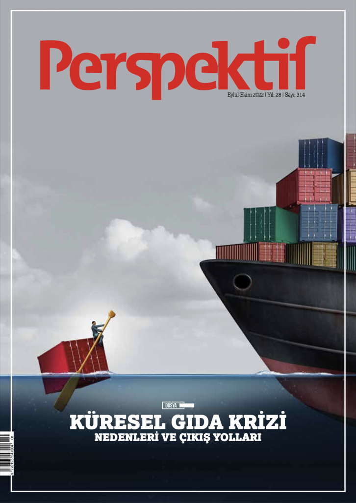 Küresel Gıda Krizi