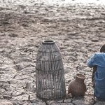 “Gıda Krizi,  Aynı Zamanda Bir Değerler Krizi”