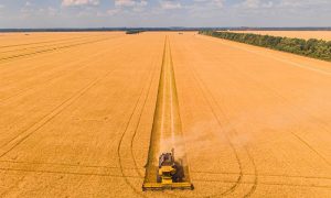 Ukrayna Nasıl Tarım Devi Oldu?