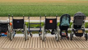 Fas ve Türkiye Kökenli Yaşlı Göçmenler Sosyal Temaslarına Rağmen Yalnızlar