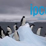 Hükümetlerarası İklim Değişikliği Paneli (IPCC) Nedir?